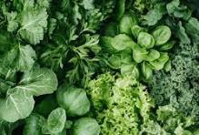 close up photo of a variety of green leafy vegetables